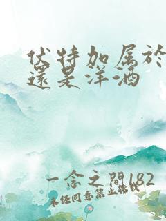 伏特加属于白酒还是洋酒