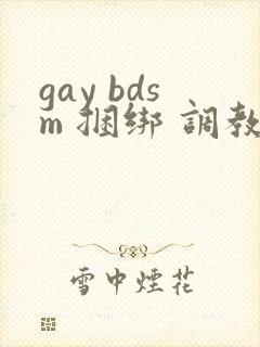 gay bdsm 捆绑 调教 男奴