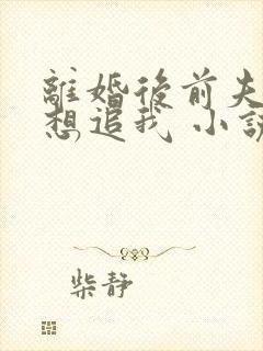 离婚后前夫总是想追我 小说