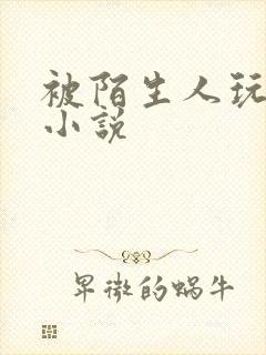 被陌生人玩弄的小说