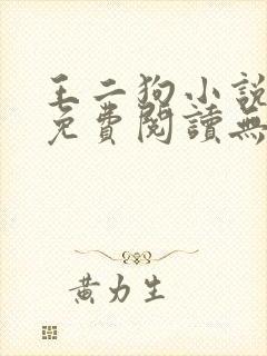 王二狗小说全文免费阅读无弹窗