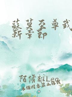 苏莫至尊武魂最新章节