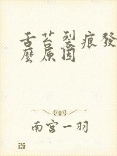 舌苔裂痕发白什么原因