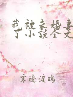 我被未婚妻包围了小说全文阅读