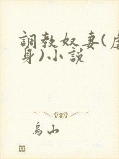 调教奴妻(虐女身)小说