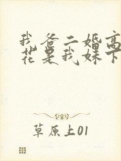 我爸二婚高冷校花是我妹下载