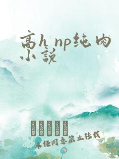 高h np纯肉小说