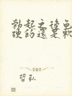 勃起之后龟头是硬的还是软的