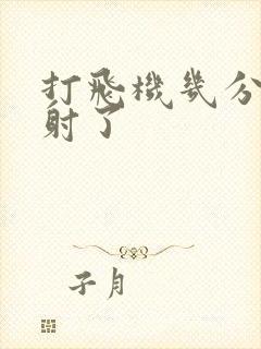 打飞机几分钟就射了