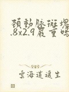 颈动脉斑块10.8x2.9严重吗