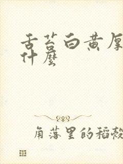 舌苔白黄厚腻吃什么