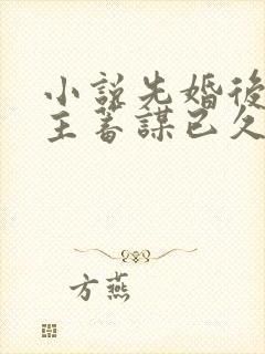 小说先婚后爱男主蓄谋已久