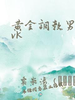 黄金调教男奴丨vk