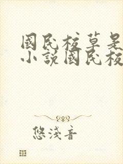 国民校草是女生小说国民校草是女生