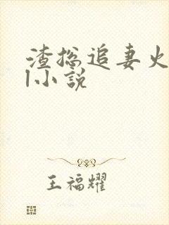 渣总追妻火葬场l小说