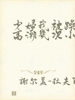 少妇我被躁爽到高潮几次小说