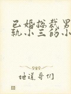 已婚总裁男主出轨小三的小说