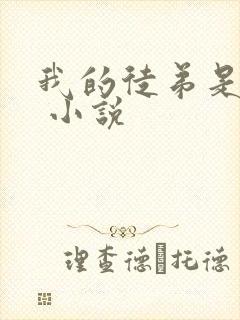 我的徒弟是女帝 小说