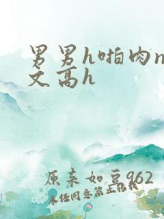 男男h啪肉np文高h