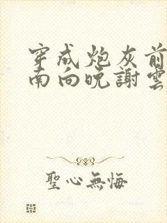 穿成炮灰前妻,南向晚谢云霆