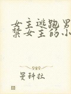 女主逃跑男主囚禁女主的小说