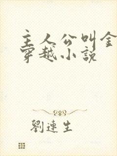 主人公叫金峰的穿越小说