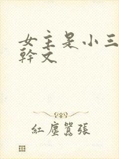 女主是小三的高干文