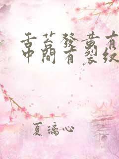 舌苔发黄有齿痕中间有裂纹怎么回事