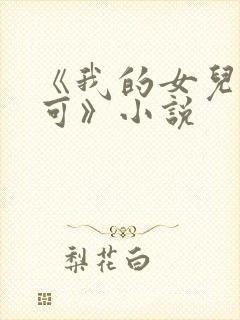 《我的女儿叫小可》小说