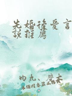 先婚后爱言情小说推荐