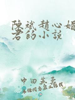 陈斌赵心媚高婉君的小说