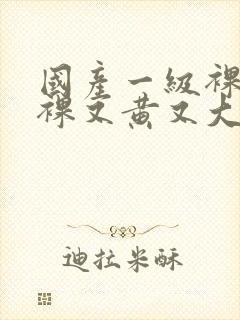 国产一级裸片又裸又黄又大片