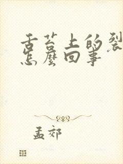 舌苔上的裂痕是怎么回事