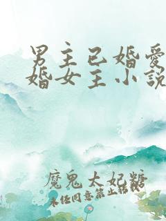男主已婚爱上未婚女主小说