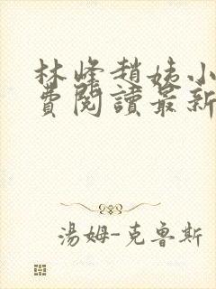 林峰赵姨小说免费阅读最新章节