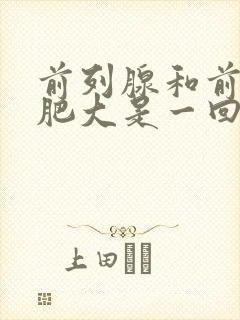 前列腺和前列腺肥大是一回事吗