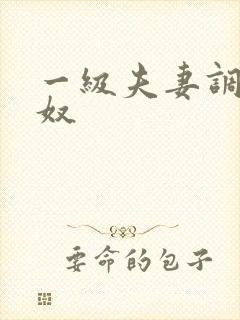 一级夫妻调教男奴