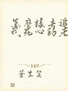 怎么样去追回对我死心的老婆