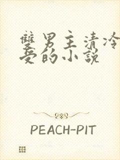 双男主清冷美人受的小说