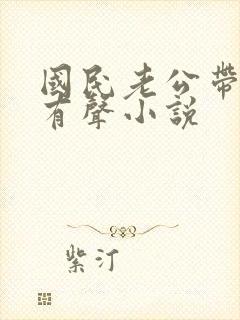 国民老公带回家有声小说