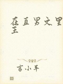 在直男文里撩男主
