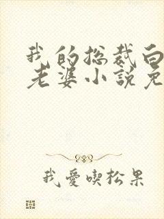 我的总裁白富美老婆小说免费阅读的