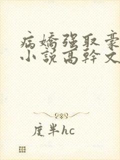 病娇强取豪夺的小说高干文