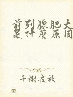 前列腺肥大主要是什么原因