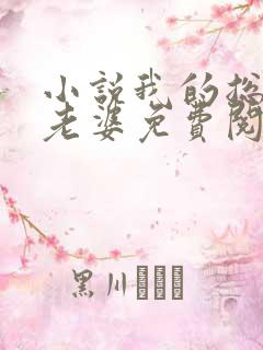 小说我的总裁大老婆免费阅读