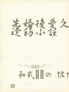 先婚后爱久别重逢的小说