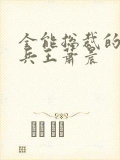 全能总裁的全能兵王萧晨