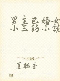 男主已婚女主是小三的小说