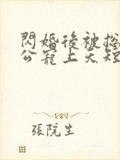 闪婚后被总裁老公宠上天短剧全集4/4