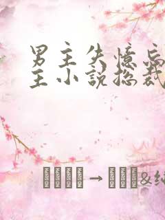 男主失忆忘记女主小说总裁文